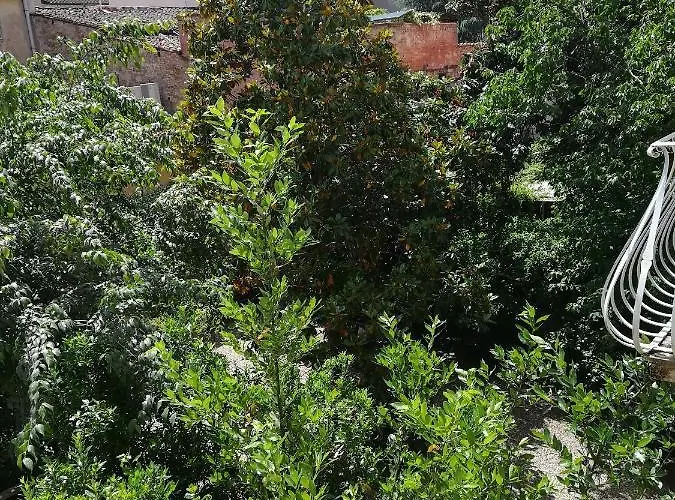 Giardino D'azeglio Locazione Turistica * Firenze